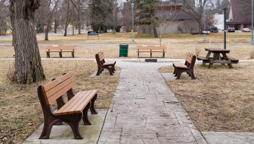 garden with wooden bench and walkway