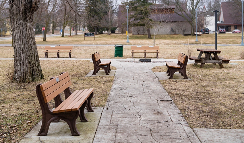 garden with wooden bench and walkway